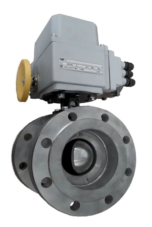 IMG_20221125_132054 копия